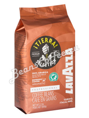 Кофе Venetto Arabica Blend Купить Зерна